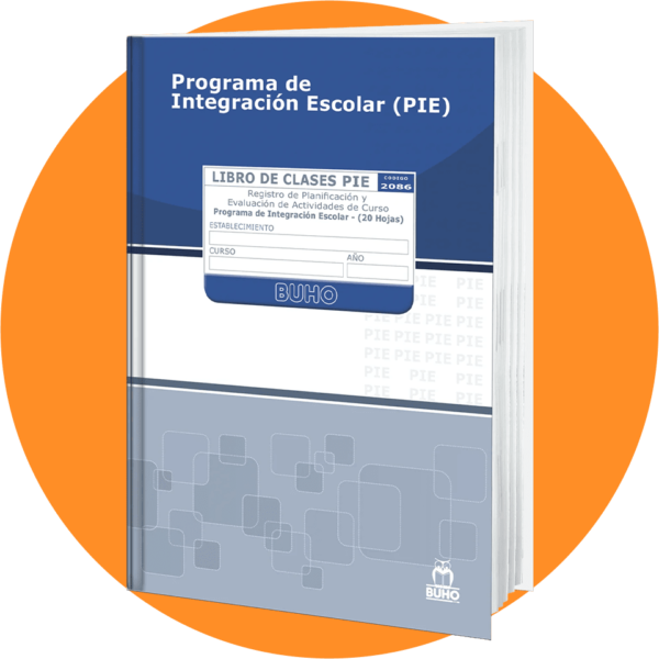 Libro Clases PIE (Proyecto de integracion escolar)