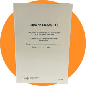 Libro de Clases PIE (Proyecto de integracion Escolar Decreto 170 )