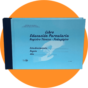 Libro registro tecnico pedagogico de parvulo